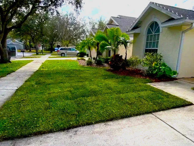 Landscaping services