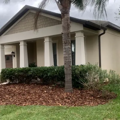 Flowerbed with mulch