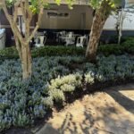 Landscaping flowerbed project in Tampa