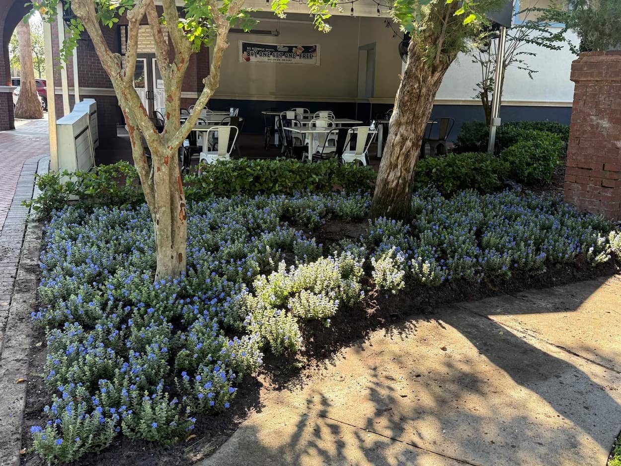 Landscaping flowerbed project in Tampa