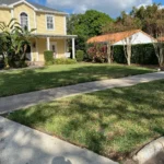 Landscaping project in Tampa Bay