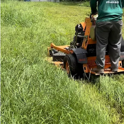 Lawn Mowing service