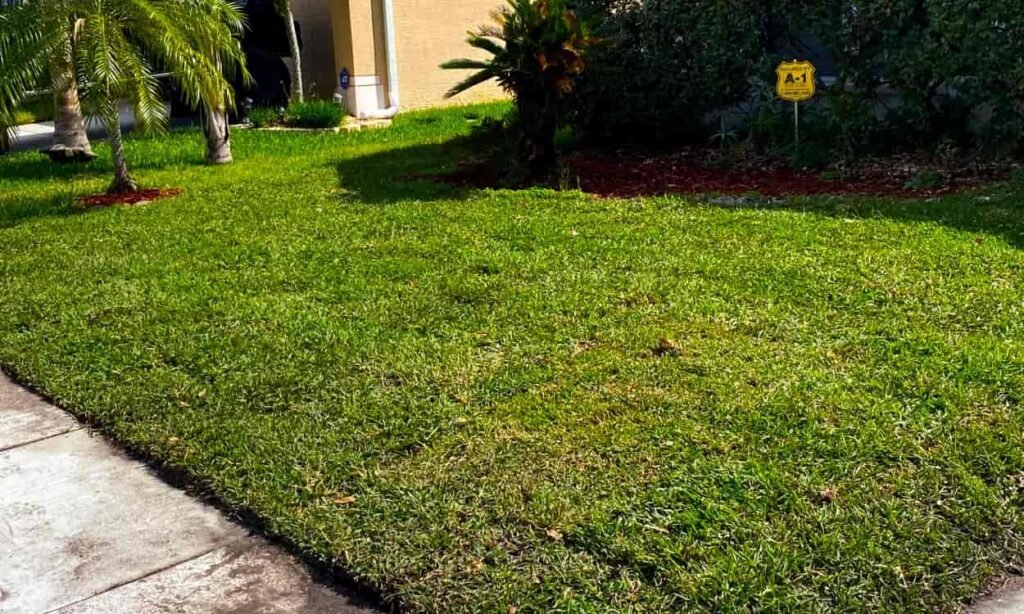 Sod Installation done by Green Roots