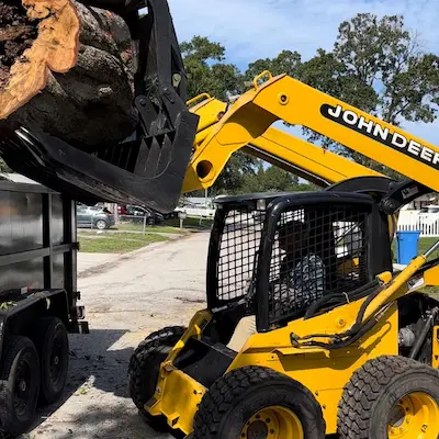 Stump removal