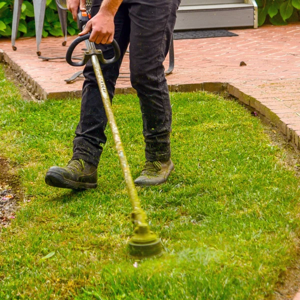 lawn mowing services