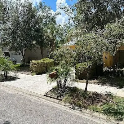 sod installation in tampa
