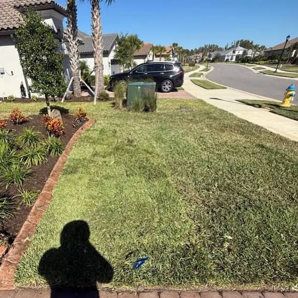 Residential Sod installation After