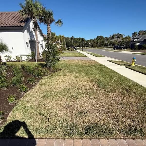 residential Sod installation Before