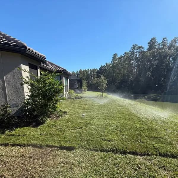 Sod installation After