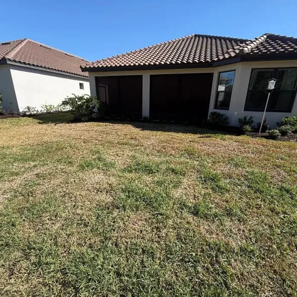 Sod installation Before