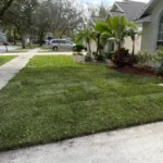 front yard sod installation