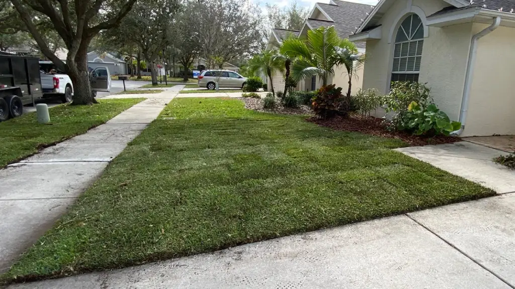 front yard sod installation