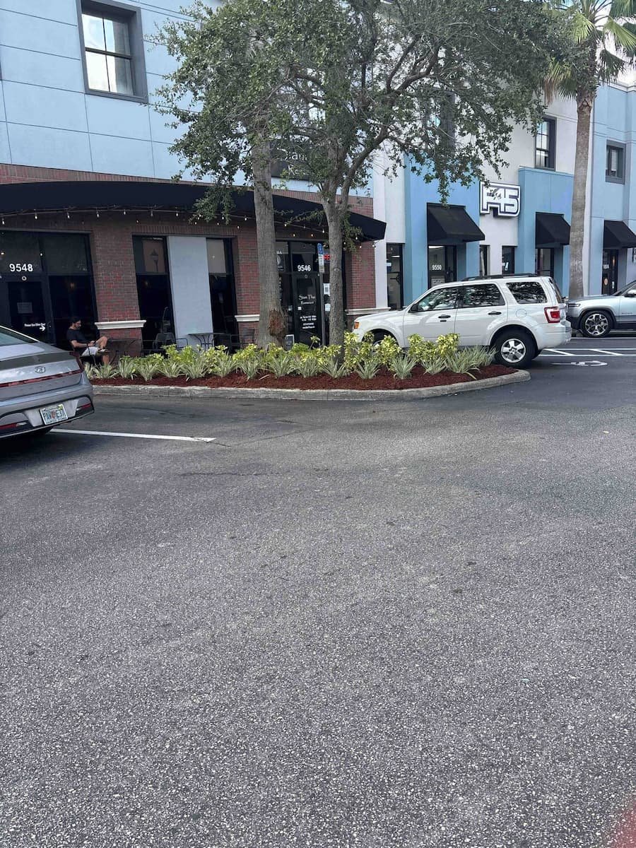 Downtown tampa commercial landscaping